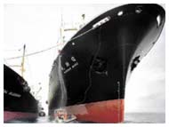 SHIPPING INDUSTRY SKIRTBOARD RUBBER